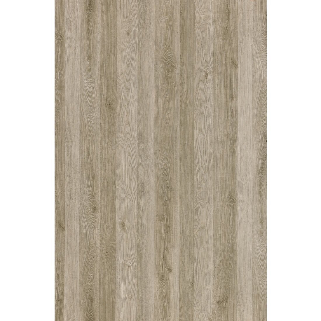 SM’art  C001 Tennis Club