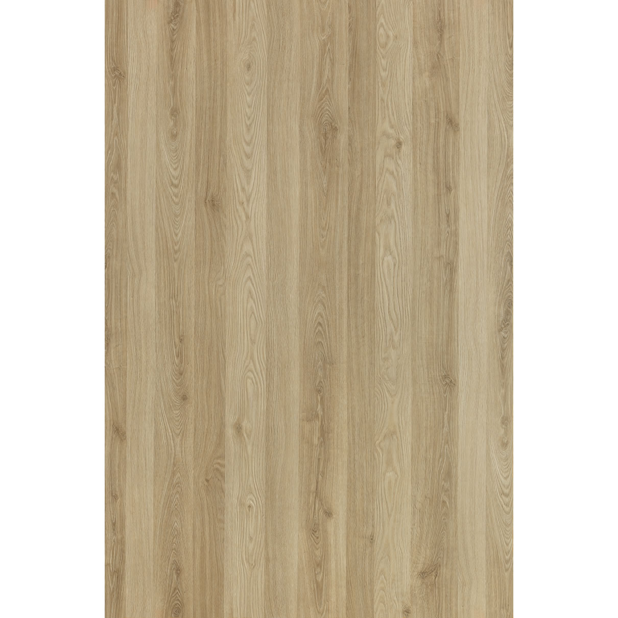 SM’art  C003 Polo Club